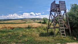 Ki az úr a mezőn: a gazda vagy a vadász?