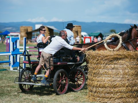 Közösségi ünnep lovakkal, hintókkal