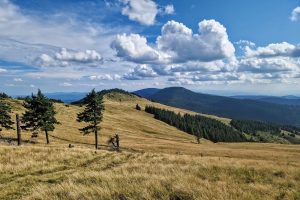 Nyereg, Kis-Nemere, Nagy-Sándor…