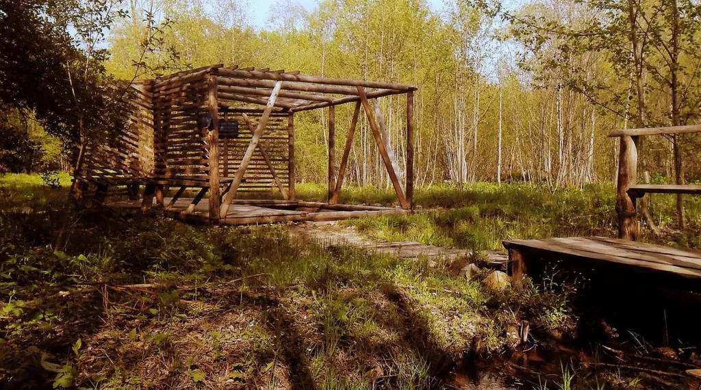 A zalánpataki Bugyogó-feredő. Fotó: visitcovasna.com