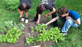 Kiskertészkedés: vonzó alternatíva a képernyő előtt töltött időre