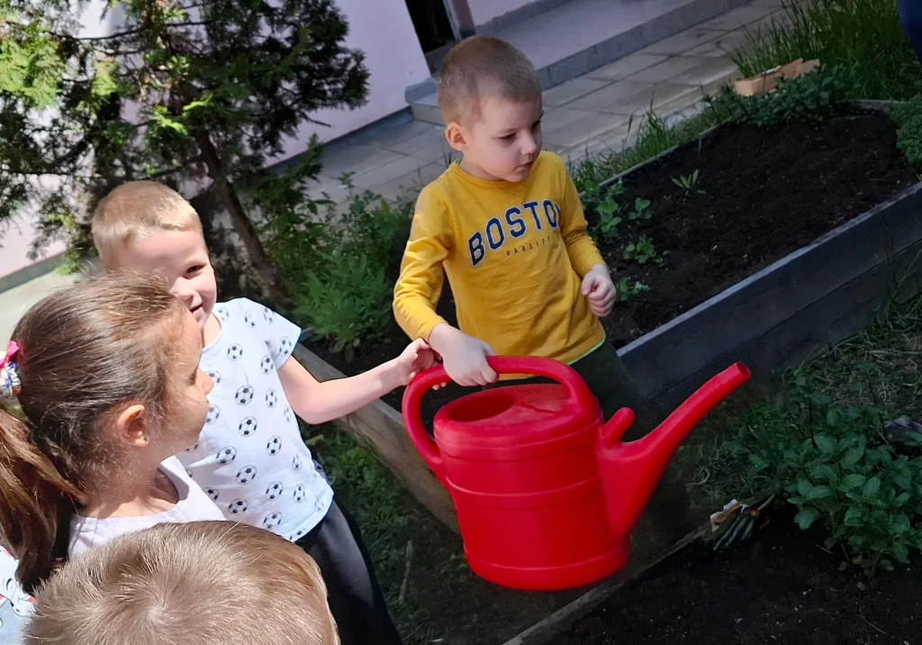 Retket, fejes salátát, sárgarépát, cukkinit, zöldborsót, uborkát, céklát és spenótot nevelhettek a kiskertészek, hogy az egész szezonban legyen betakarítanivaló. Fotó: Sepsi Metropoliszövezet/Facebook