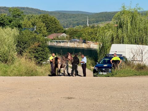 A szekerekre is vonatkoznak a forgalmi szabályok